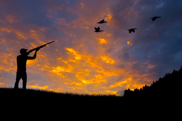 The Ultimate Guide to Dove Hunting Season: Tips and Tricks for a Successful Hunt