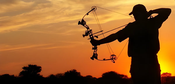 How to Archery Hunt: A Beginner's Guide