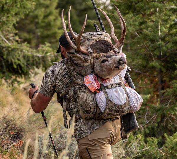 Why Backpack Deer Mount is the Perfect Solution for Small Spaces