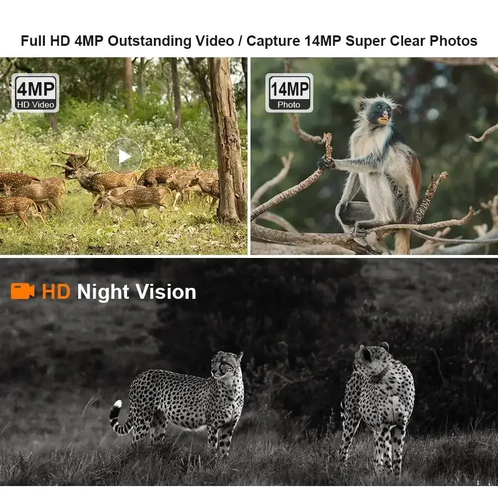SolarTrail 4G Cam | 2K Night Vision Wildlife Monitor From Rancher’s Ridge